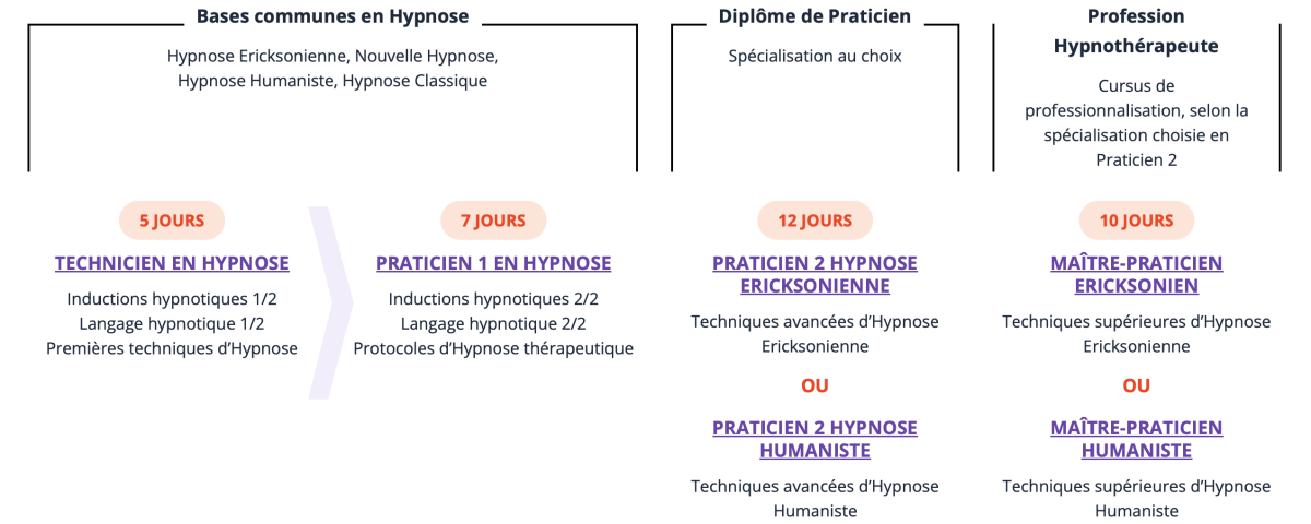 image illustrant le parcours en formation de l'IFHE